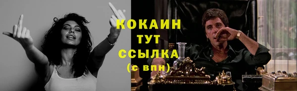 spice Касимов