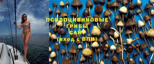 spice Касимов