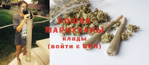 spice Касимов